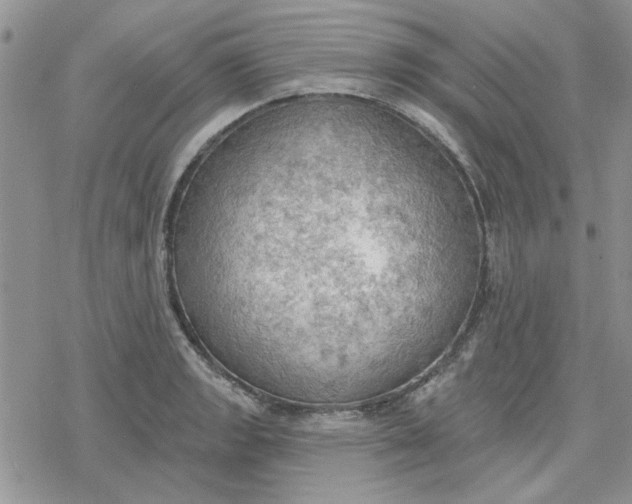 X0000078231133200611171427