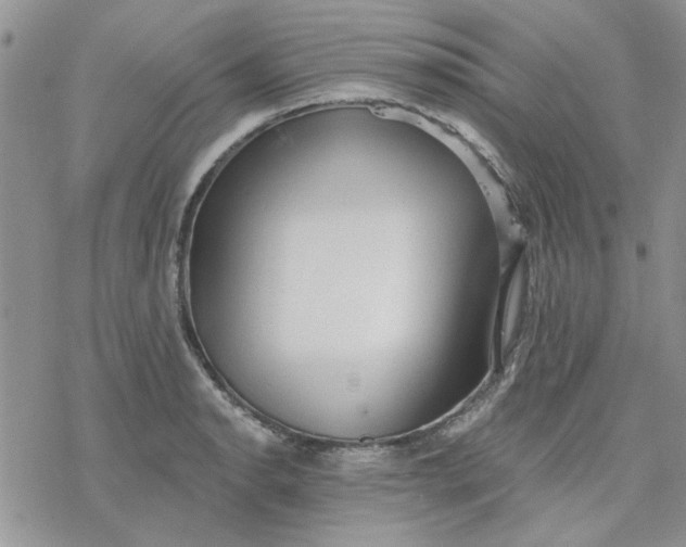 X0000078231134200611171427