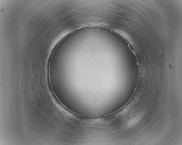 X0000078231135200611171427