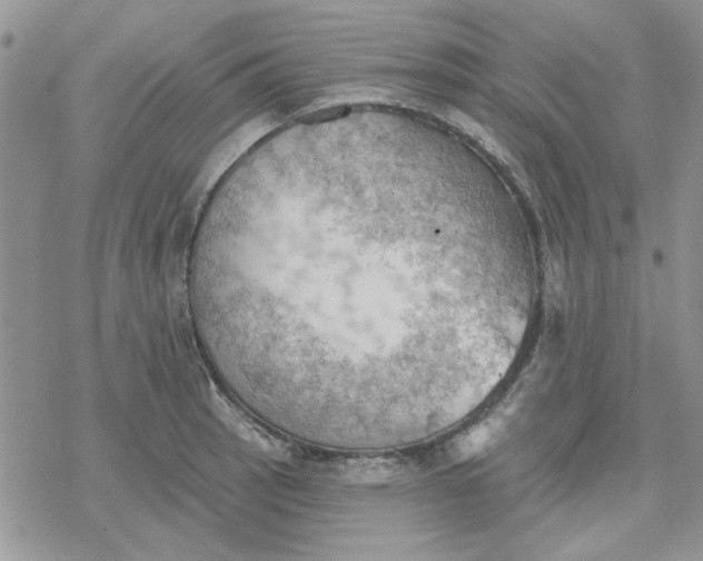 X0000078231137200611171427