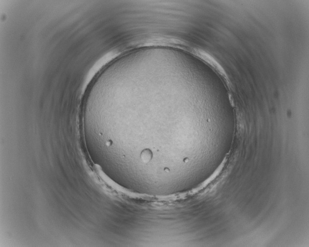 X0000078231138200611171427