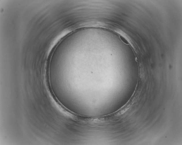 X0000078231139200611171427