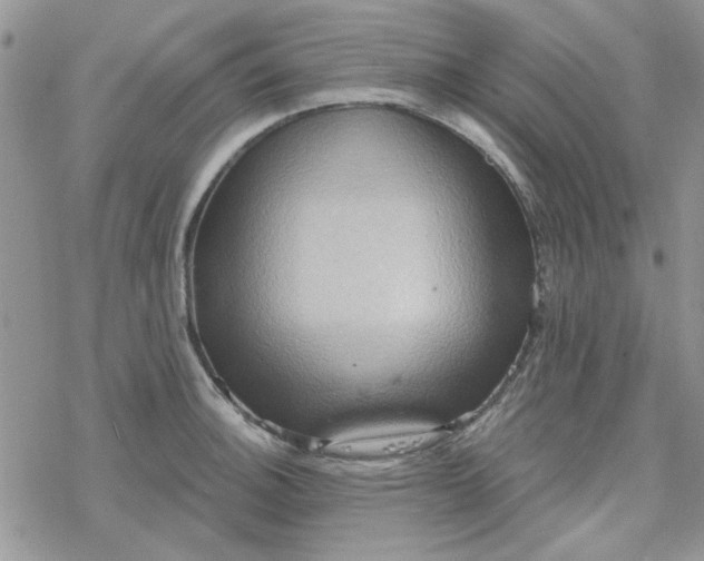 X0000078231140200611171427