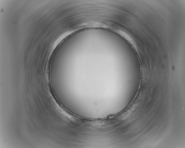 X0000078231141200611171427