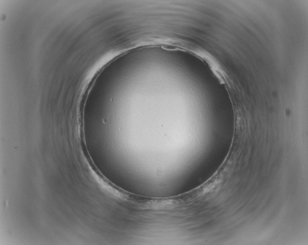 X0000078231143200611171427