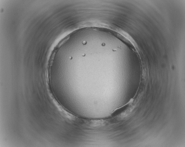 X0000078231144200611171427