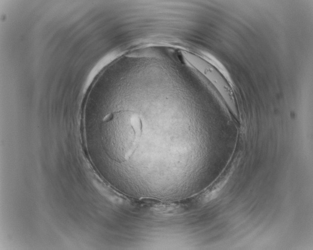 X0000078231146200611171427