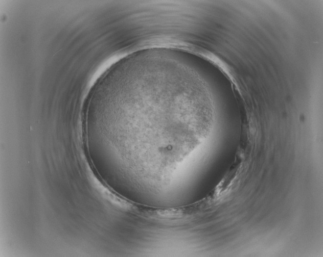 X0000078231147200611171427