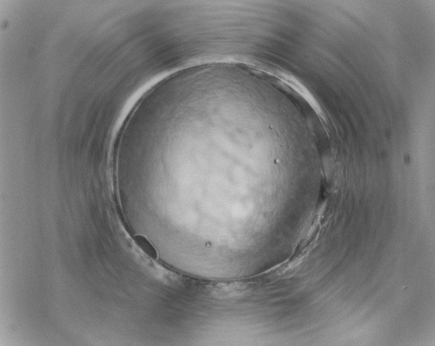 X0000078231148200611171427