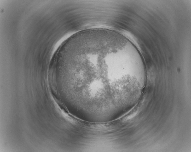 X0000078231149200611171427