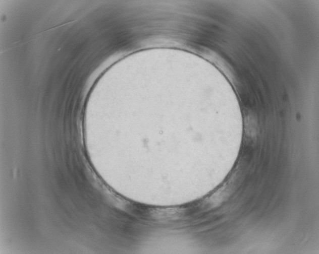 X0000078231150200611171427