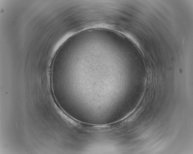 X0000078231151200611171427