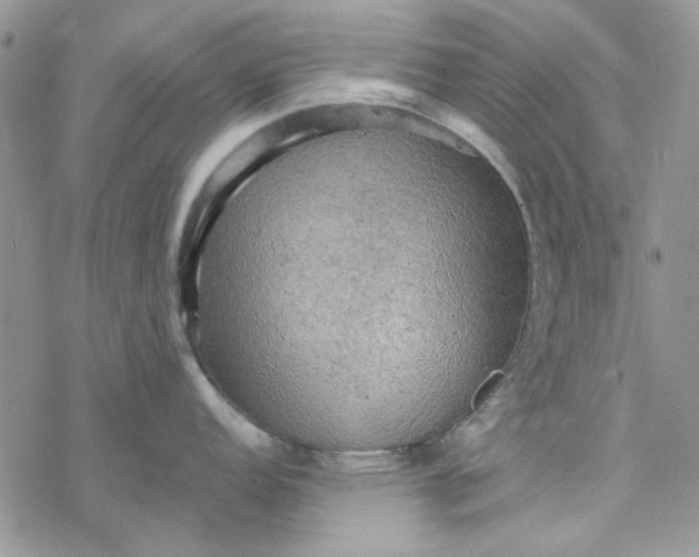 X0000078231152200611171427