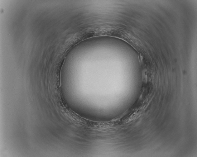 X0000078231153200611171426