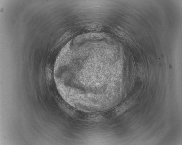 X0000078231154200611171426