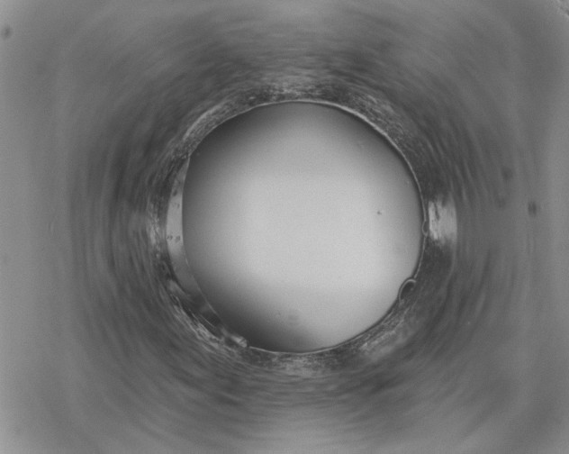 X0000078231155200611171426