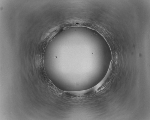 X0000078231157200611171426