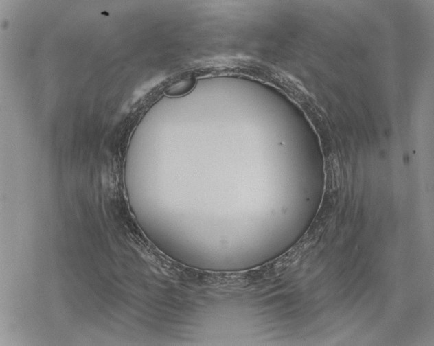 X0000078231158200611171426