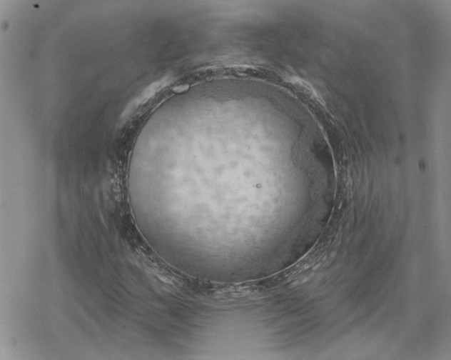 X0000078231159200611171426