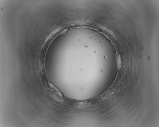 X0000078231160200611171426