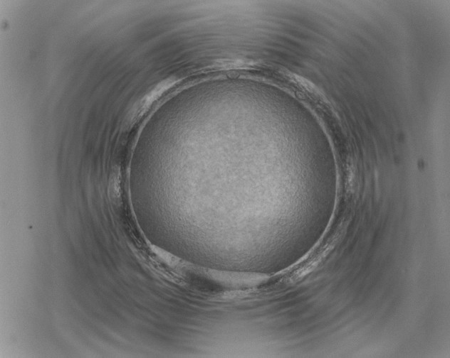 X0000078231161200611171426