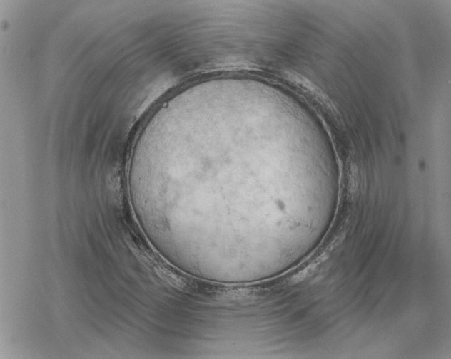 X0000078231162200611171426