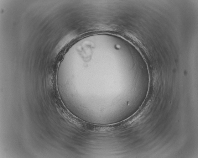 X0000078231163200611171426