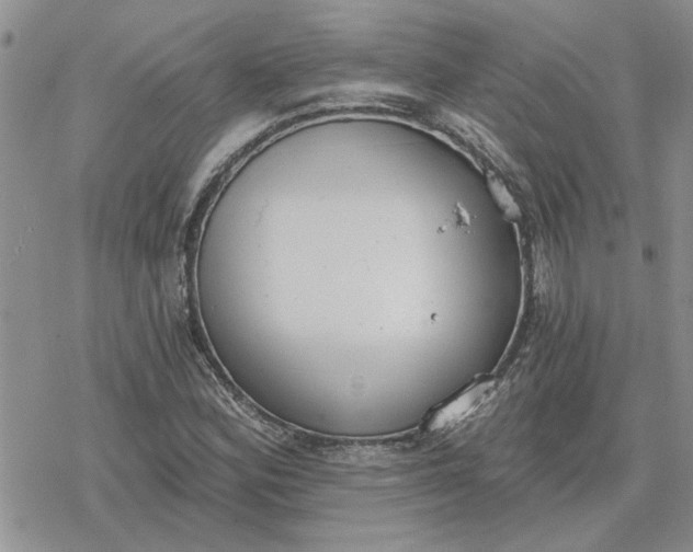 X0000078231164200611171426