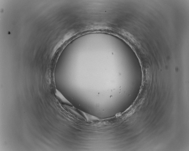 X0000078231165200611171426