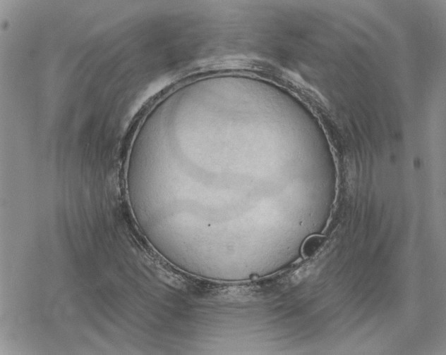 X0000078231166200611171426