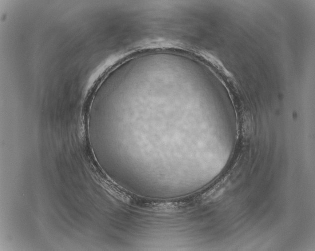 X0000078231167200611171426