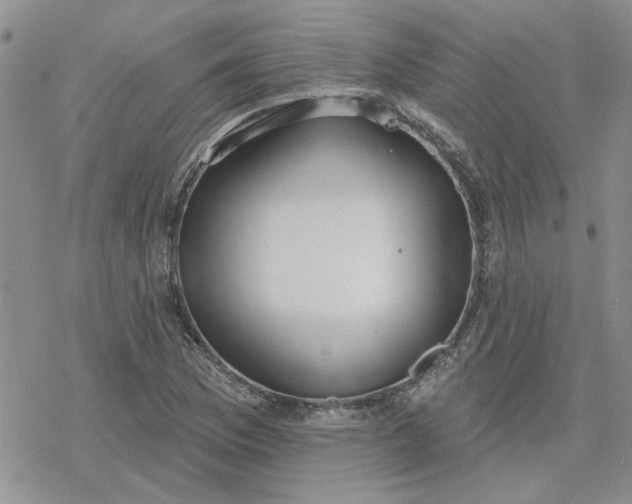 X0000078231169200611171426