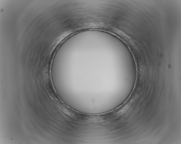 X0000078231170200611171426