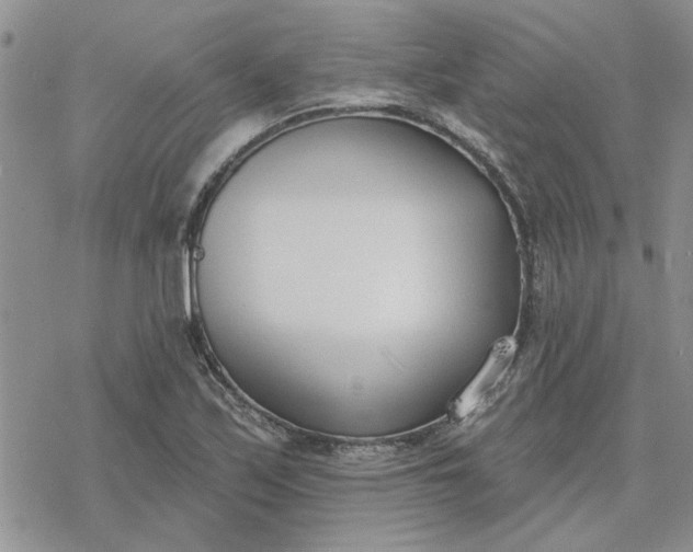 X0000078231171200611171426