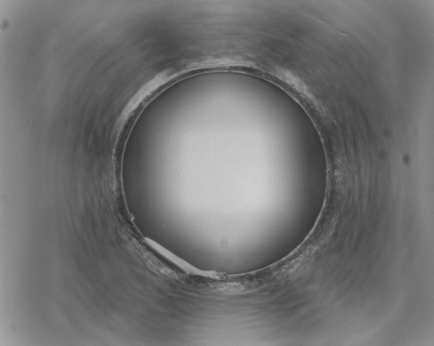 X0000078231173200611171426