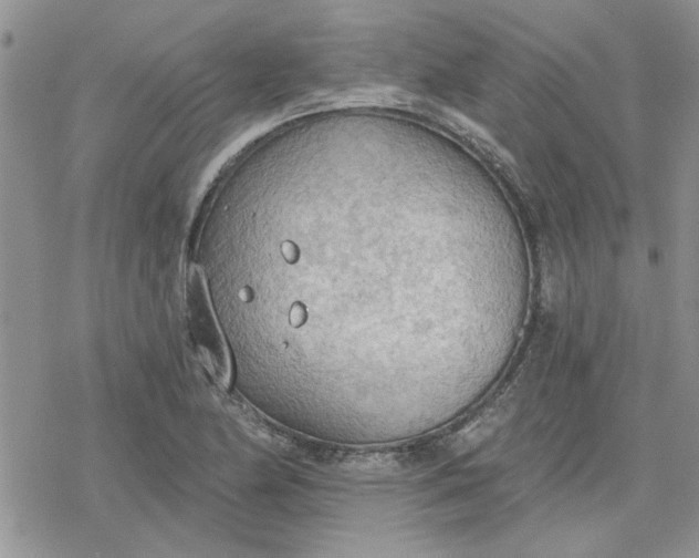 X0000078231174200611171426