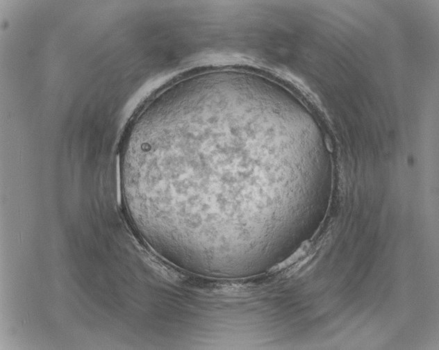 X0000078231175200611171426