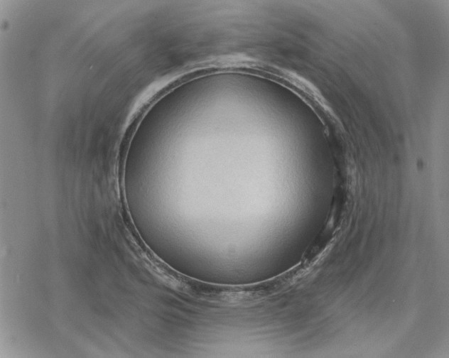 X0000078231176200611171426