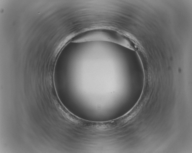 X0000078231177200611171426