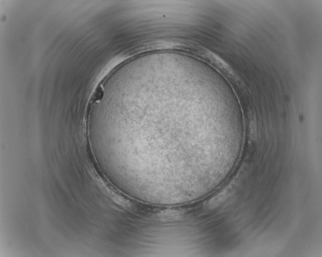 X0000078231178200611171426