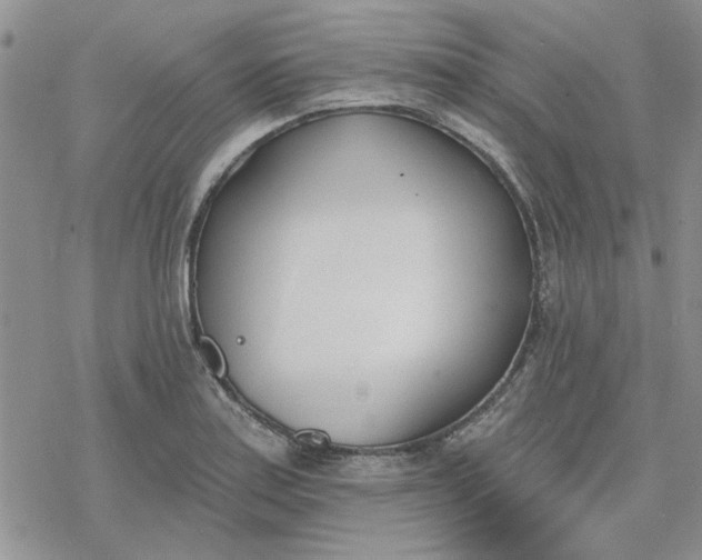 X0000078231179200611171426