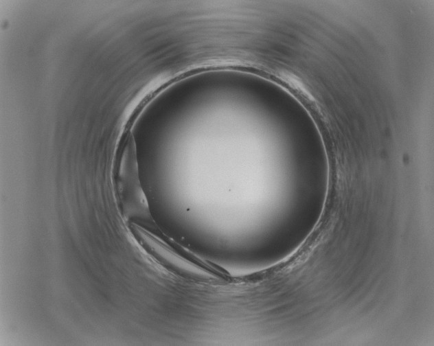 X0000078231181200611171426