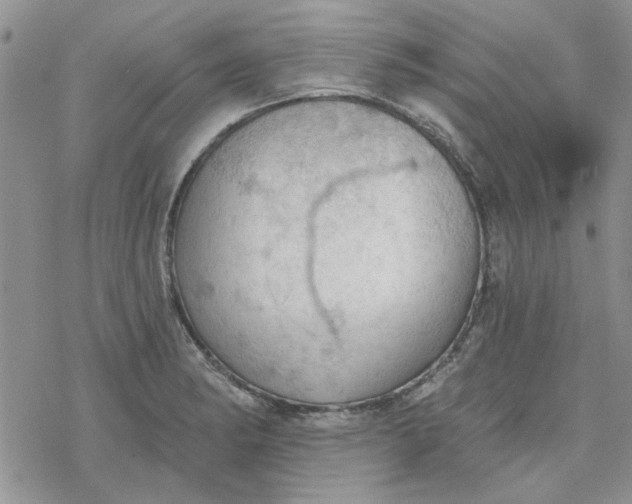 X0000078231182200611171426