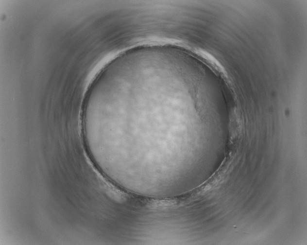 X0000078231183200611171426