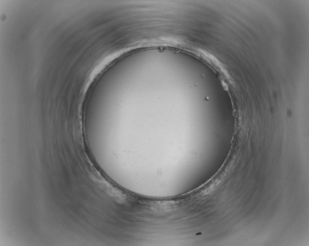 X0000078231184200611171426