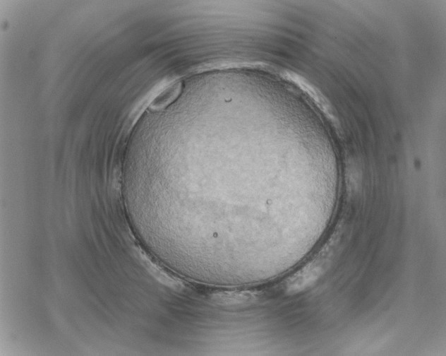 X0000078231185200611171426