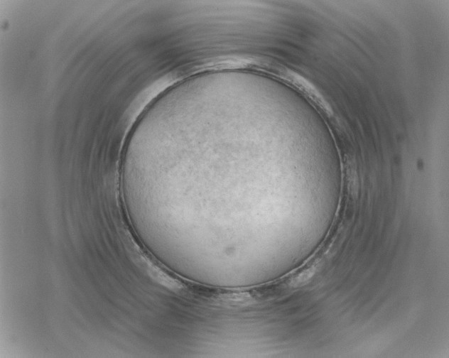 X0000078231186200611171426