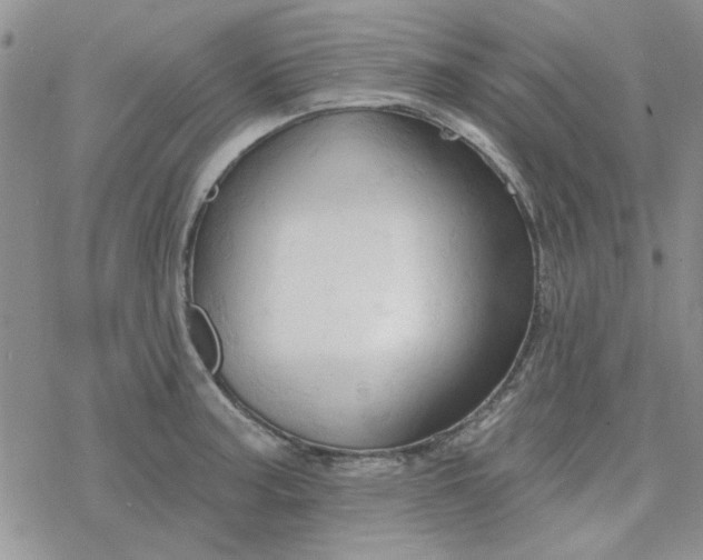 X0000078231187200611171426