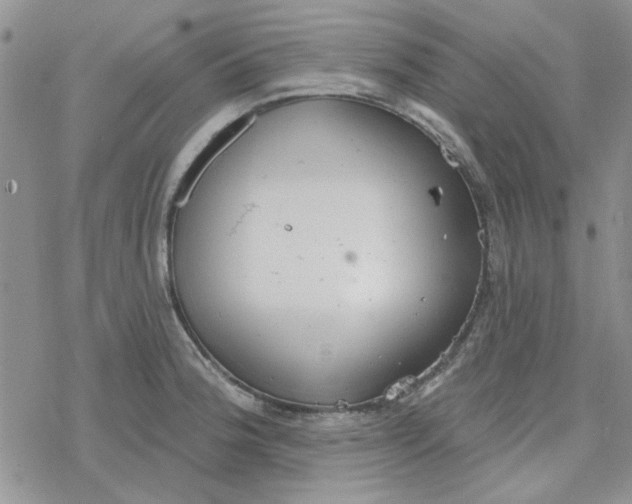 X0000078231188200611171426