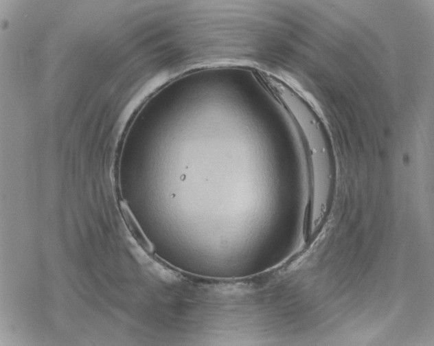 X0000078231189200611171426